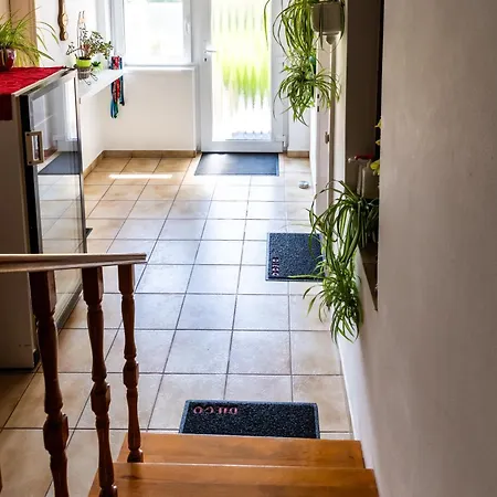 ホームステイ Magdalena Apartmanhaz ケストヘイ